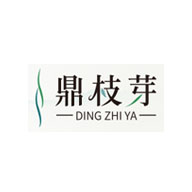 鼎枝芽品牌LOGO