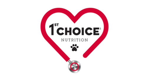 1st Choice Logo