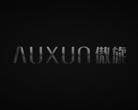 AUXUN标志图片