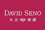 DAVID SENO大卫世诺