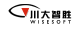 四川川大智胜软件股份有限公司