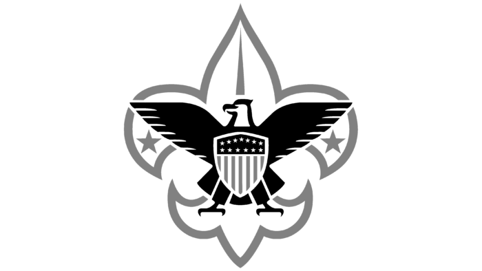 Boy Scout Emblem