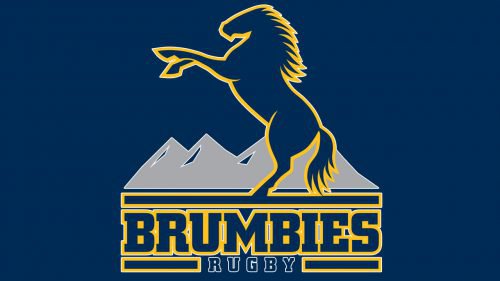 Brumbies