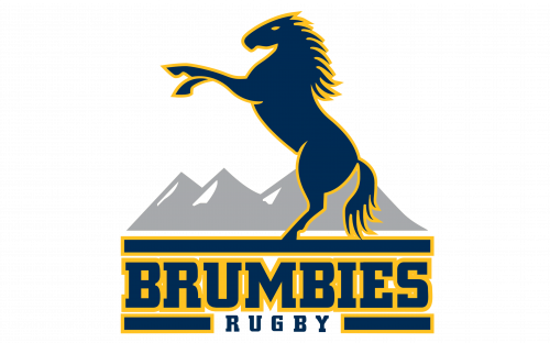 Brumbies Logo