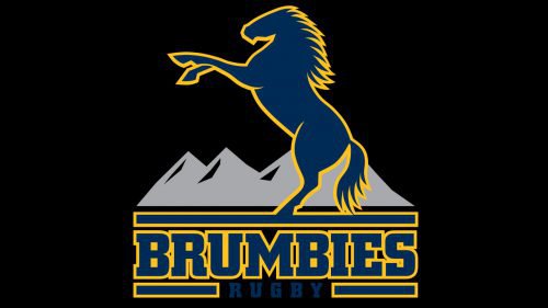 Brumbies emblem