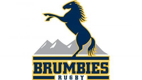 Brumbies logo