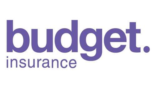 Budget logo