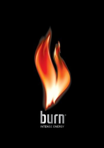 Burn Logo 2004