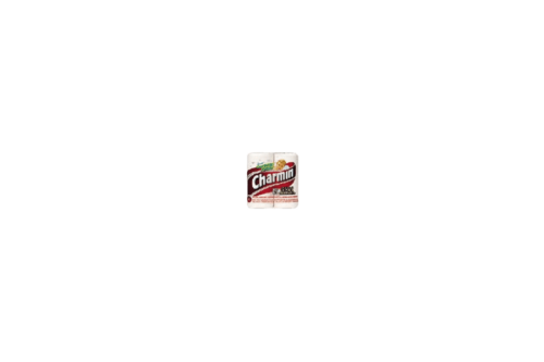 Charmin Logo 1999