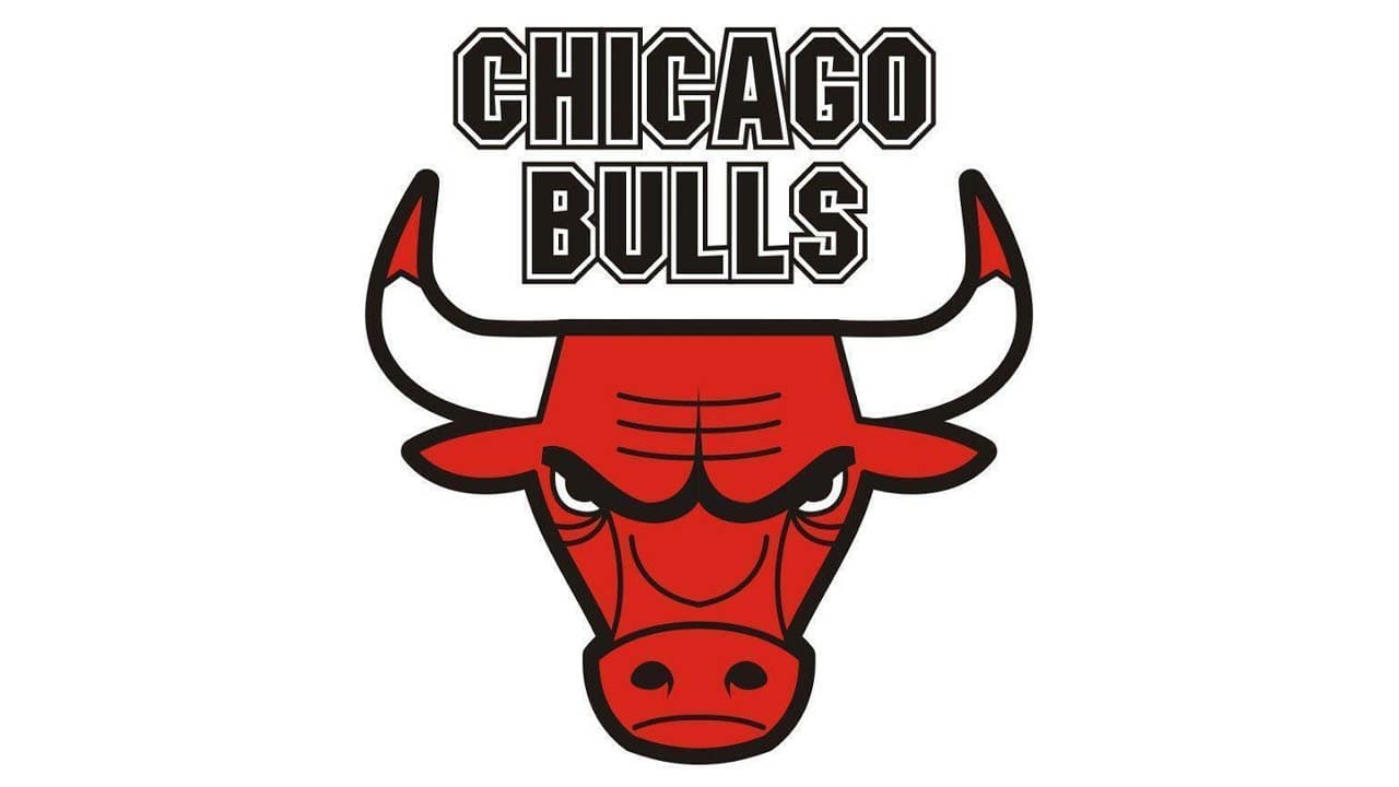 Chicago Bulls logo