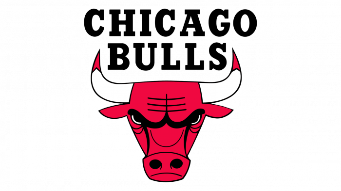 Chicago Bulls logo