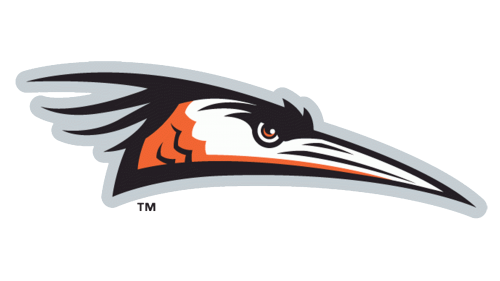 Delmarva Shorebirds Logo