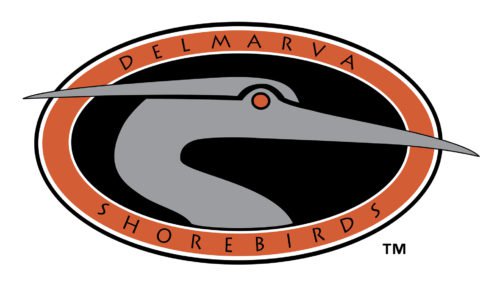 Delmarva Shorebirds Logo old