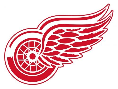 Detroit Red Wings nfl logo