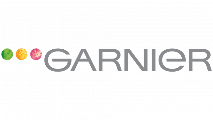 Garnier Logo 2002-2009