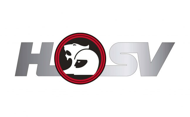 HSV Logo