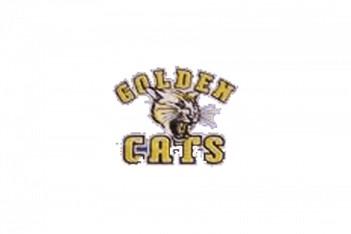 Lions Logo 1996