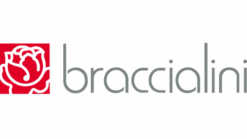 Logo Braccialini