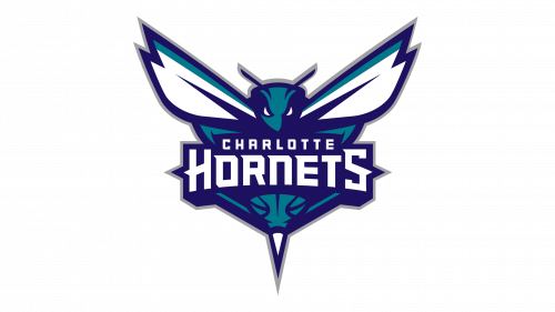 Logo Charlotte Hornets