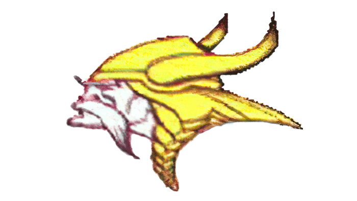 Minnesota Vikings Logo 1961-1965