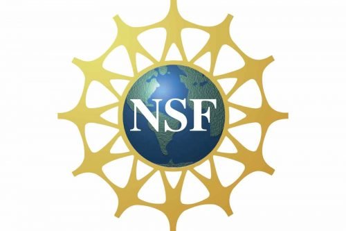 National Science Foundation Logo 1999