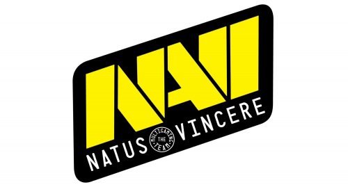 Navi logo