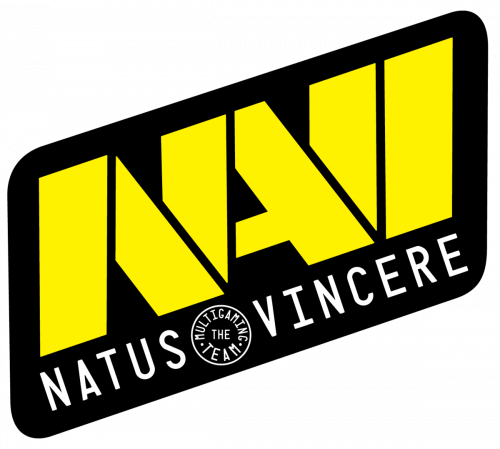 Navi logo