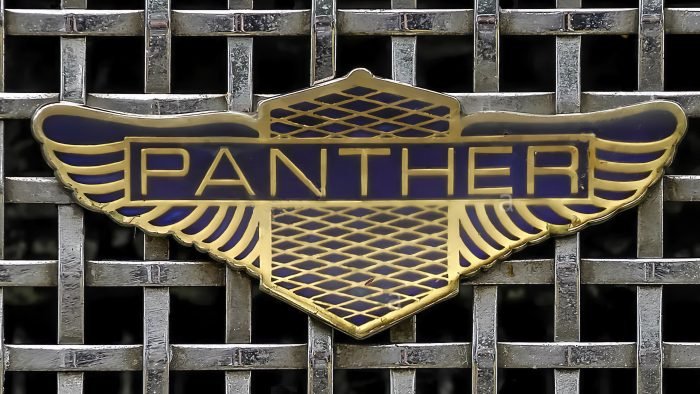 Panther Logo