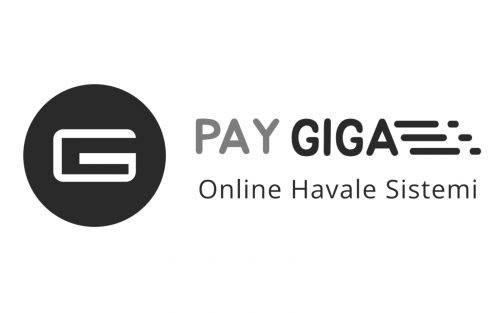 Pay Giga Logo