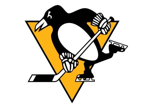 Pittsburgh Penguins nfl logo