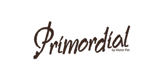 Primordial Logo