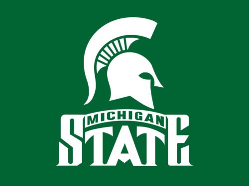 color Michigan State logo