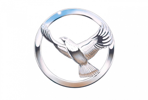 Hawk logo